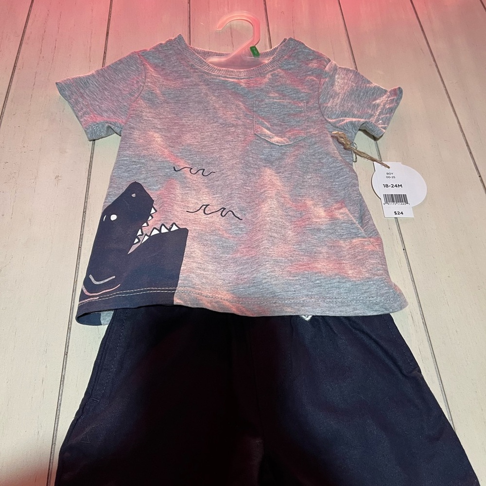 Gray Toddler Tee with Navy Dino Graphic and Navy Shorts Set